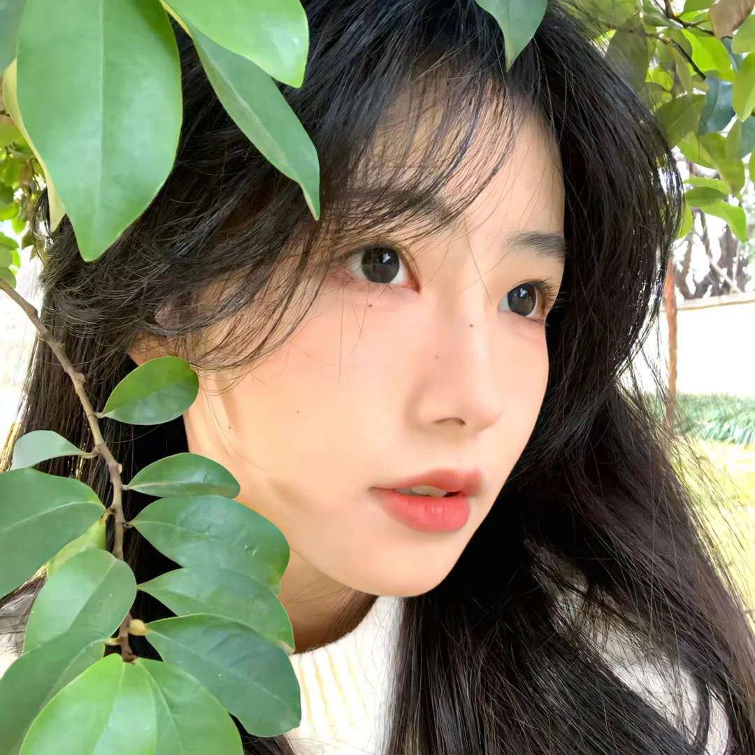 我们的歌
